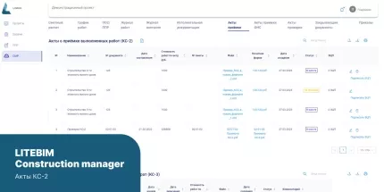 LITEBIM Construction Manager