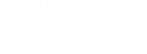 Cerebro